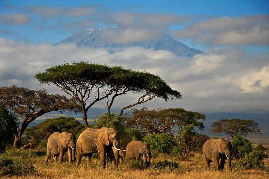 KENYA (Marzo)