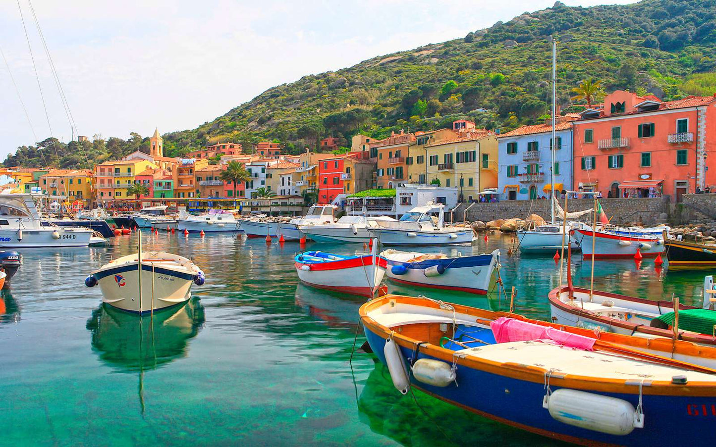 ISOLA DEL GIGLIO E GIANNUTRI (Settembre)