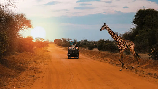 KENYA SAFARI AVVENTURA (Febbraio)