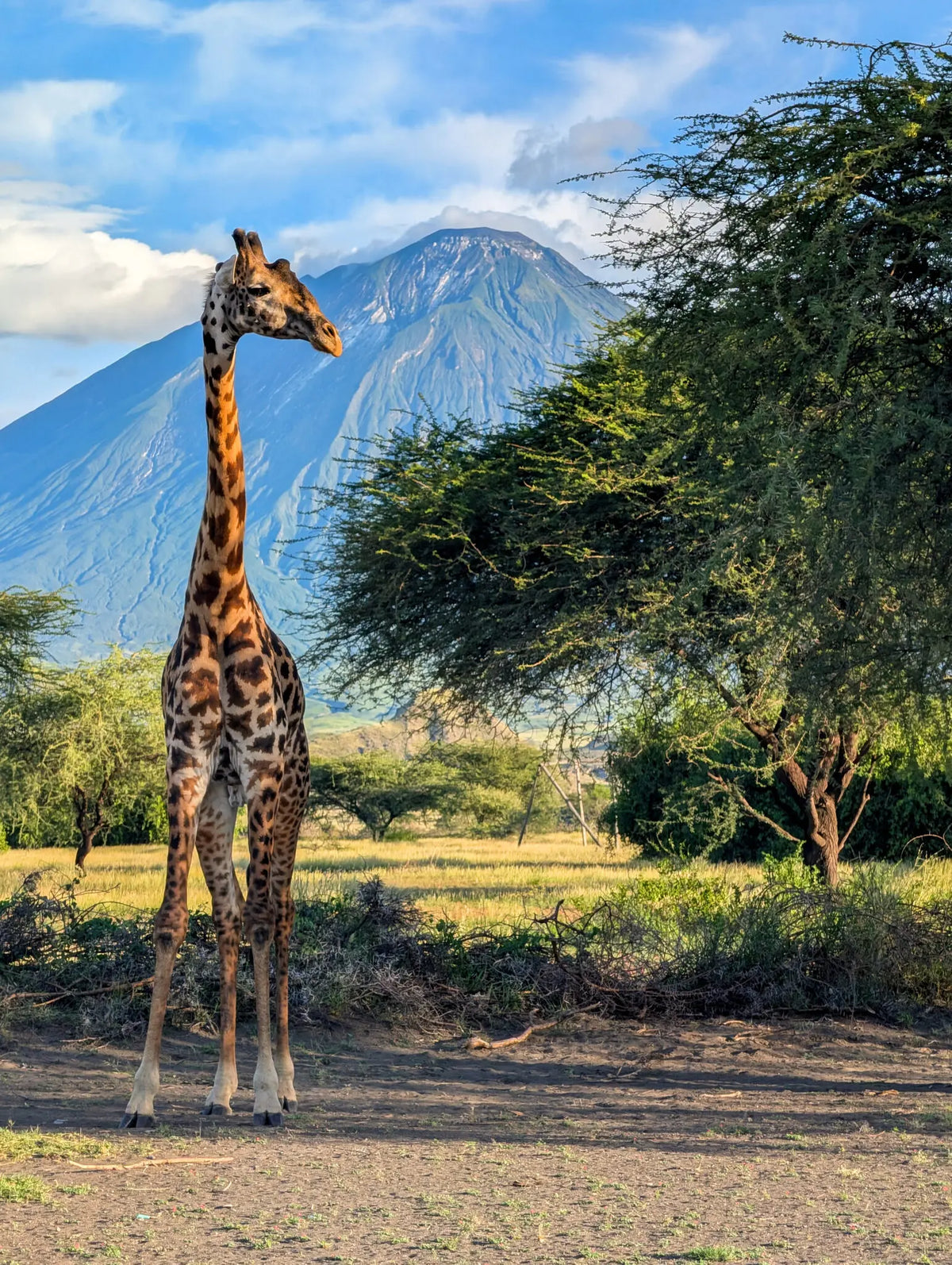 TANZANIA E ZANZIBAR (Gennaio)